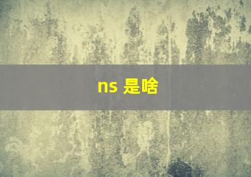 ns 是啥